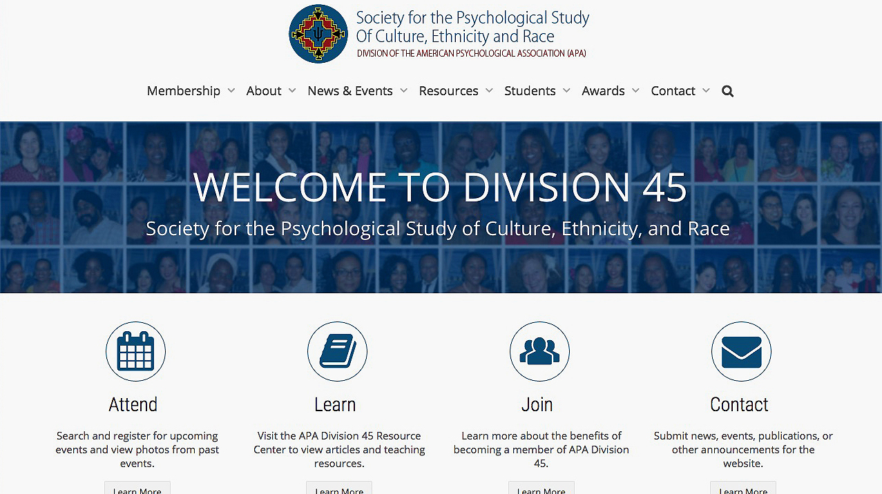 APA Banner